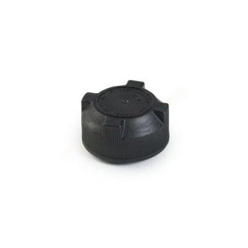 Expansion vessel plug