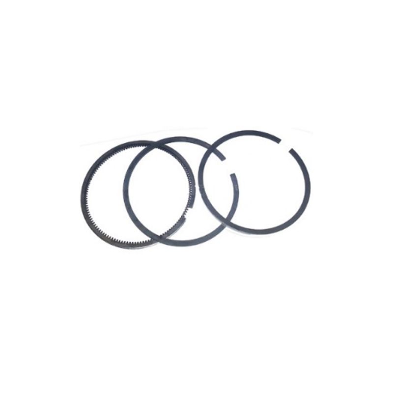Set of standard lomb segments