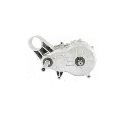 [0130171] Gearbox Ligier 1:8 with central silent block
