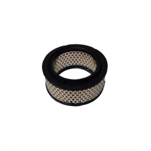 [F0098000007] Filtre à air Casalini moteur Mitsubishi