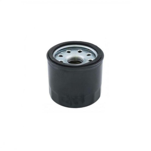 [217117] Oliefilter Lombardini ldw 442 Dci - 492 Dci