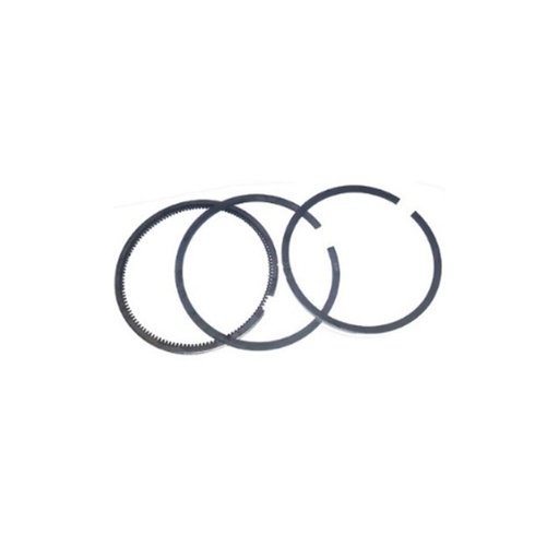 [811015] Set of standard lomb segments