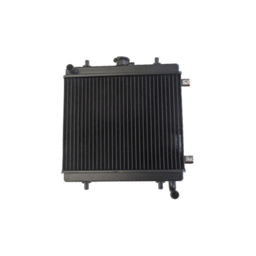 [BAF570007517] Radiator Grecav sonic with Lombardini Focs engine