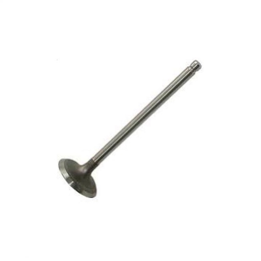 [911115] Yanmar inlet valve for Chatenet Jdm - Microcar